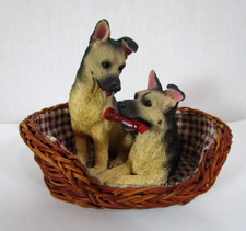 Pair german shepherds for sale  Milwaukee
