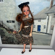 Vintage pedigree 1970s for sale  WATERLOOVILLE