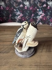 Readers digest handpainted for sale  REDRUTH