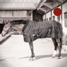 Coperta cavalli invernale usato Coperta cavalli invernale usato  Italia