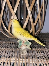 Vintage ceramic canary for sale  TELFORD