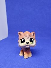 Littlest pet shop for sale  OXFORD