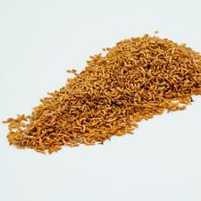 Freeze dried siberian for sale  HOLYWELL