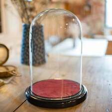 Small antique display for sale  EXETER