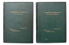 C.1903 1905 primer for sale  Charleston