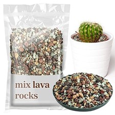 Succulent rocks bonsai for sale  Brooklyn