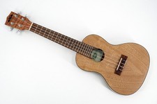 Ukulele de viagem Kala KA-EMTU-C mogno exótico concerto - ponte levantada comprar usado  Enviando para Brazil