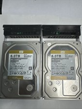 6TB SATA WD6002FRYZ Gold Western Digital 3.5" Enterprise HD 7200 RPM 6Gbps 128MB, usado comprar usado  Enviando para Brazil