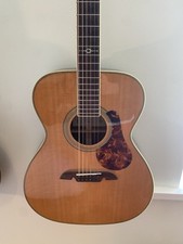 Alvarez masterworks mf60 for sale  LONDON
