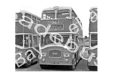 Bus photograph southdown for sale  ALFRETON