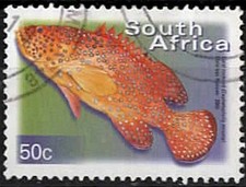 2000. afrique sud. d'occasion  France