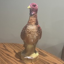 Wild turkey austin for sale  Lincoln