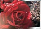 Rosen postkartenbuch not gebraucht kaufen  Berlin