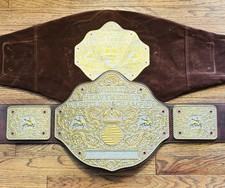 Official wwe big for sale  Pittsburgh