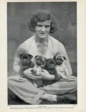Pug old original for sale  COLEFORD