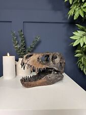 Resin dinosaur skull for sale  ASHBOURNE