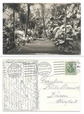 Zk323 frankfurt palmenhaus gebraucht kaufen  Deutschland