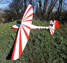 Segelflugmodell 100 gebraucht kaufen  Bietigheim-Bissingen