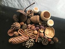 Collection pine cones for sale  UK