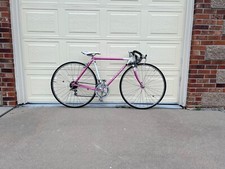 Rare 48cm nishiki for sale  Aurora