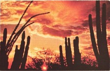Beautiful desert sunset for sale  Lakewood