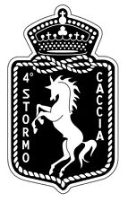 Stormo caccia stickers usato  Firenze