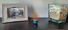 Bonsai filo rame usato  Monguzzo
