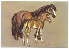 Artist drawn postcard for sale Artist drawn postcard for sale  DISS