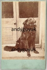 Cabinet card flat for sale  CHESTERFIELD