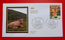 Fdc 1er jour d'occasion  Vallon-Pont-d'Arc