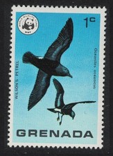 Wilson storm petrel for sale  UK