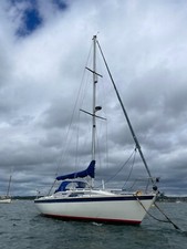 Westerly storm ood for sale  EXETER
