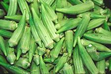 Okra pusa sawani usato  Tivoli