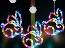 Easter window lights for sale  Charlotte