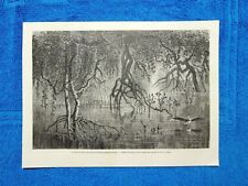 Gravure année 1865 usato  Villarosa