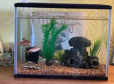 fish tank lid for sale  WOLVERHAMPTON