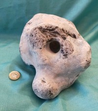 Giant natural hag for sale  WORTHING
