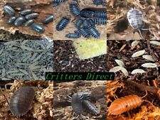 Springtail isopod combo for sale  New Bern