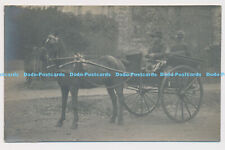 C006552 horse. horse for sale  WARLINGHAM