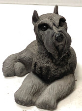 miniature schnauzer for sale miniature schnauzer for sale Dallas
