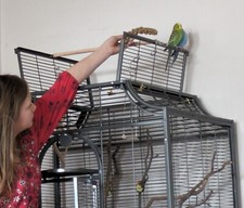 Vogelkäfig montana premium gebraucht kaufen  Dresden