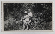 Children wooden horse d'occasion  Expédié en Belgium
