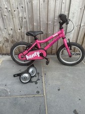 Ridgeback honey pink for sale Ridgeback honey pink for sale  BRENTWOOD