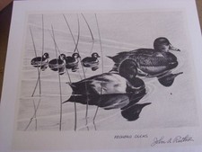1960 federal duck for sale  Coloma