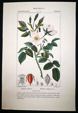 1831 turpin originale usato  Urbino