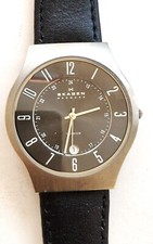 Herrenuhr skagen titanium gebraucht kaufen  Sprockhövel