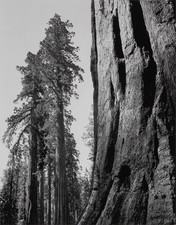 Vtg ansel adams for sale  Woodstock