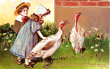 Präge thanksgiving truthennen gebraucht kaufen  Elsoff, Rehe, Oberroßbach