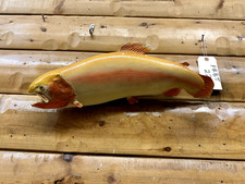 Real skin mount for sale  Wrenshall