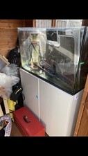 Red sea reefer for sale  CANVEY ISLAND